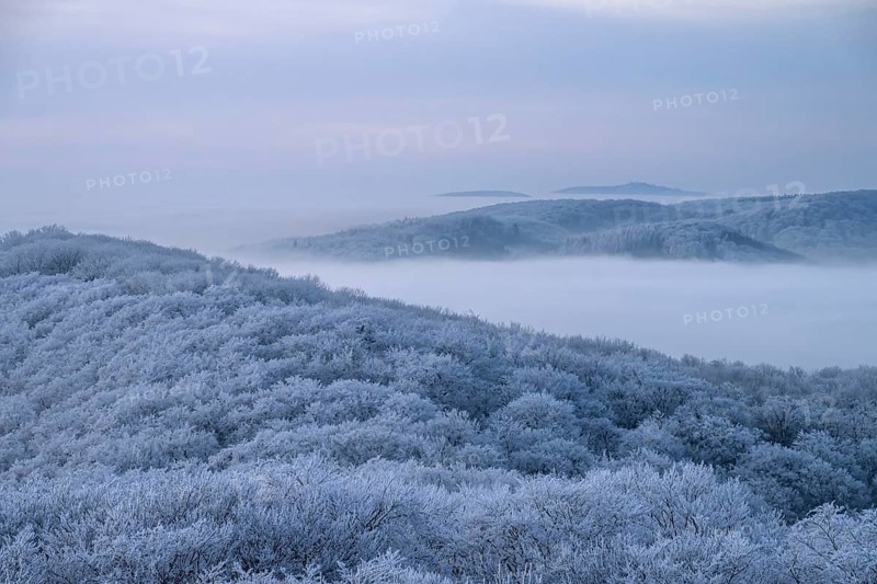 Snowy hills with trees and gentle fog in the distance, Hermannsweg Teutoburger Wald, Dissen am Teutoburger Wald, Lower Saxony, Germany