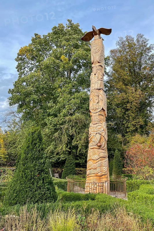Tree trunk with carvings like a totem pole, stylized eagle on top in front of Schellenberg hunting lodge, Schellenberger Wald, Essen-Heisingen, North Rhine-Westphalia, Germany