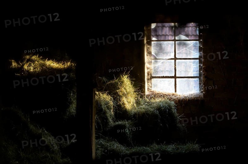 A hayloft with cobwebs in the window, illuminated by incoming sunlight in a dark environment, East Westphalia, North Rhine-Westphalia, Germany