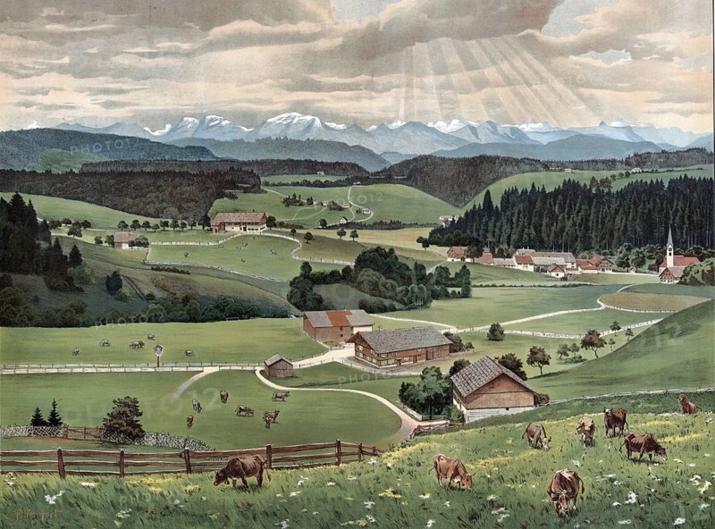 Allgäu landscape, the southern part of the Bavarian administrative district of Swabia, Bavaria, Germany, peaceful rural idyll with grazing cows against a mountainous backdrop and scattered farmhouses, authentic reproduction of a school wall painting, historic, around 1900