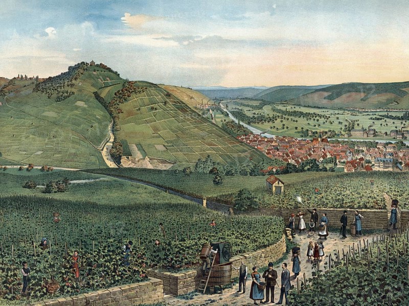 Rotenberg and Neckar Valley, in the Rhein-Neckar district in the administrative district of Karlsruhe in Baden-Württemberg, Germany, vineyards in front of a town with people who supervise the harvest. Historic atmosphere surrounded by hills, authentic reproduction of a school mural, historic, around 1900