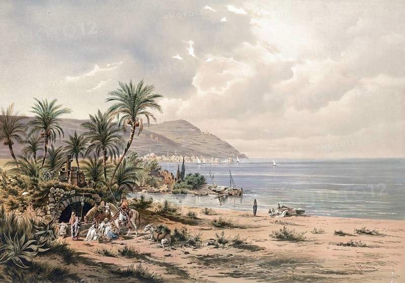 Carmel Mountains, Carmel or Carmel and the city of Haifa, Israel, beach landscape with palm trees and sailboats in front of a picturesque rocky coast, authentic reproduction of a school mural, historic, around 1900