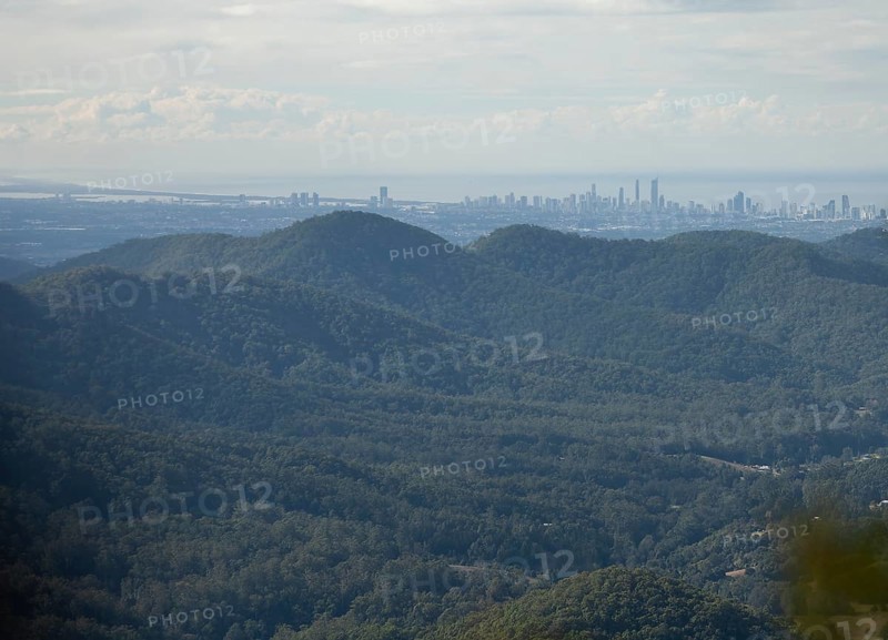 Clear blue sky with an open view over dense subtropical rain forest Gondwana, captured from the Mount Cougal summit while looking toward the Gold Coast, Mount Cougal, Queensland, Australia