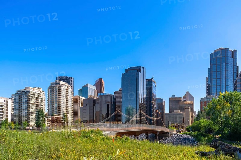 Modern skyscrapers of calgary's downtown core rise above a vibrant green park with a pedestrian bridge, creating a picturesque urban landscape under a clear blue sky