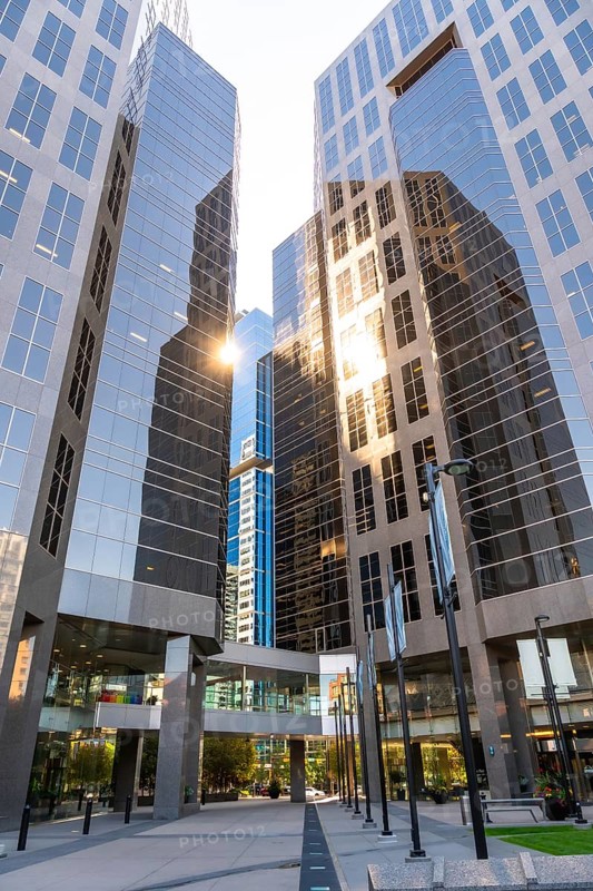 Sun shining through modern glass skyscrapers in calgary, canada, creating a stunning visual effect in the heart of the city's business district
