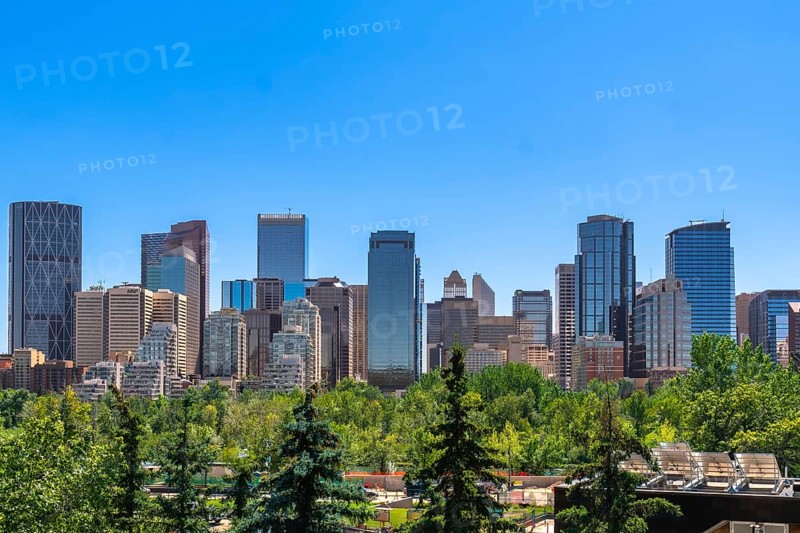 Modern skyscrapers rise above a foreground of lush green trees in calgary, alberta, canada, creating a vibrant cityscape against a clear blue sky