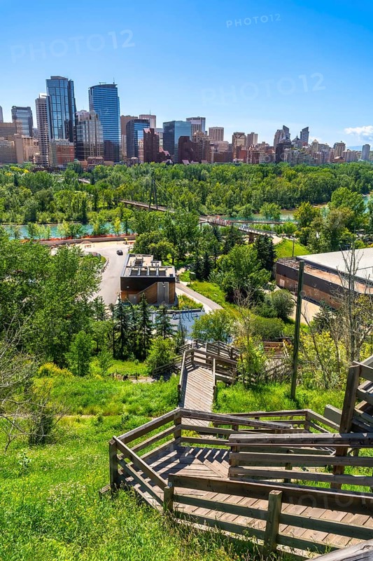 Wooden staircase winding down a grassy slope, leading towards the modern cityscape of calgary, alberta, under a vibrant blue sky, offering a picturesque urban panorama