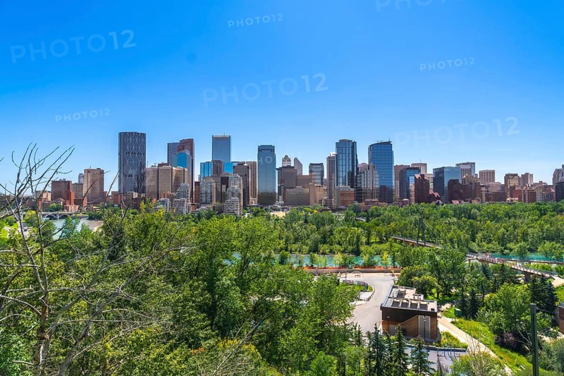Calgary's impressive skyline dominates the horizon, rising above a lush green park and the bow river, on a beautiful sunny day, showcasing the city's vibrant urban landscape amidst nature