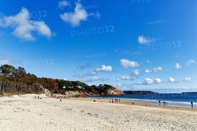 Sandy beach beach, Cumulus, strollers with dogs in autumn, Singing Beach, Manchester-by-the-Sea, Cape Ann, Massachusetts, New England, USA