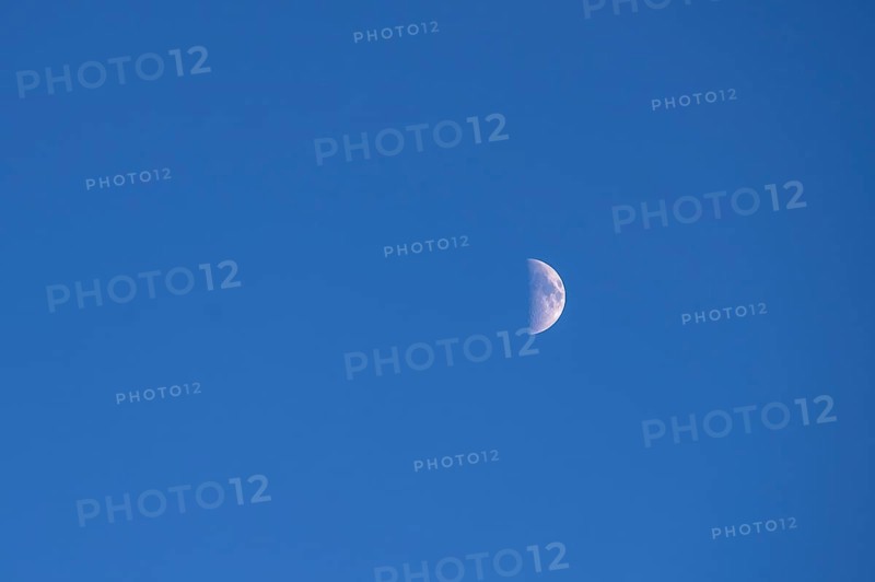 Half moon in early, blue evening sky, Bavaria, Germany