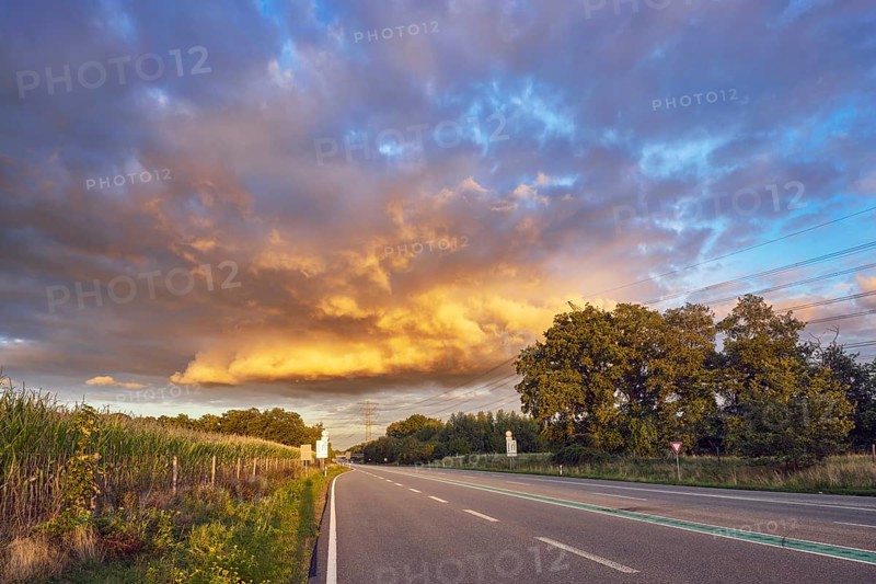 Corn field, meadow, trees, cumulus clouds, stratocumulus clouds, evening light, Bundesstraße B54, Gronau, Münsterland, Borken district, North Rhine-Westphalia, Germany