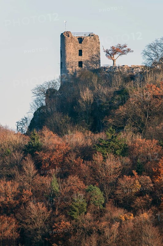 Neideck ruins in the evening light, Schlossberg. Wiesenttal, Upper Franconia, Bavaria, Germany