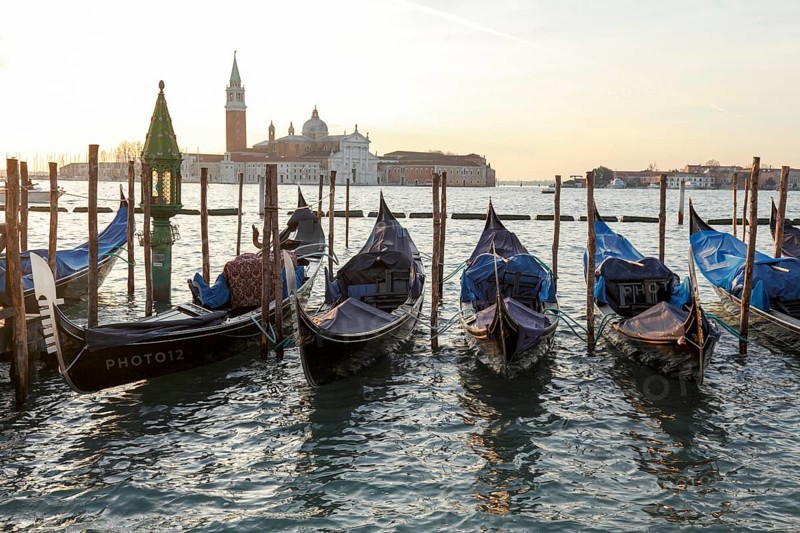 Gondolas in front of the Piazzetta, in the background San Giorgio Maggiore, San Marco, Venice, Veneto, Italy
