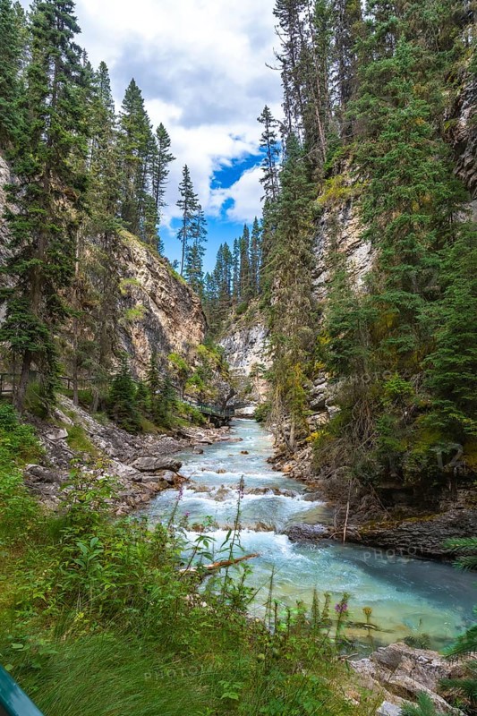 Turquoise water flowing through johnston canyon, a scenic gorge in banff national park, alberta, is framed by lush pine trees and rocky cliffs beneath a cloudy blue sky
