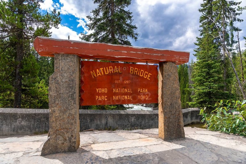 Wooden sign marking the natural bridge in yoho national park, surrounded by lush evergreens and offering a view of the kicking horse river on a sunny summer day