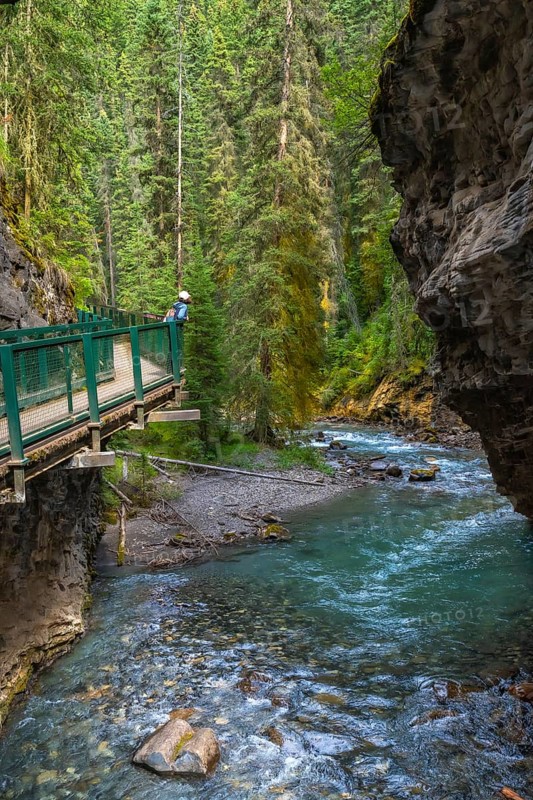 Turquoise water flows through johnston canyon in banff national park as a tourist walks on the catwalk, enjoying the beautiful scenery of the canadian rockies
