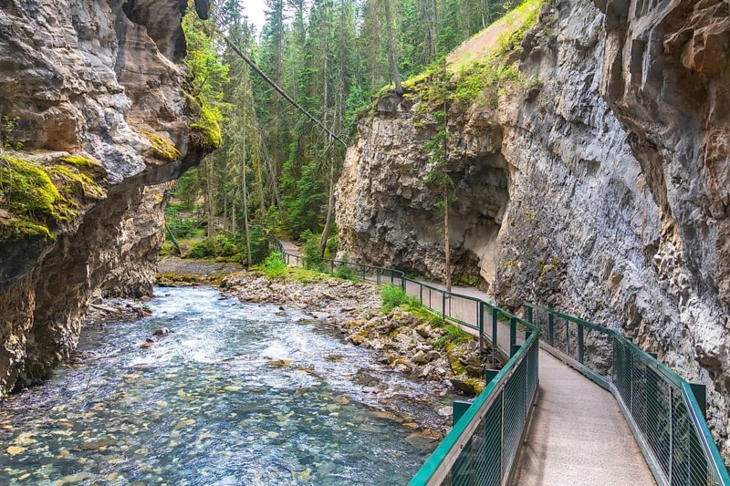 The scenic johnston canyon catwalk follows the turquoise bow river through a stunning limestone canyon in banff national park, offering breathtaking views of the canadian rockies