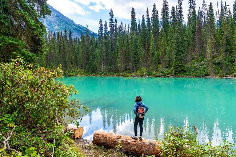 Hiker standing on a log, admiring the stunning turquoise waters of emerald lake, surrounded by lush forests and the majestic peaks of the canadian rockies