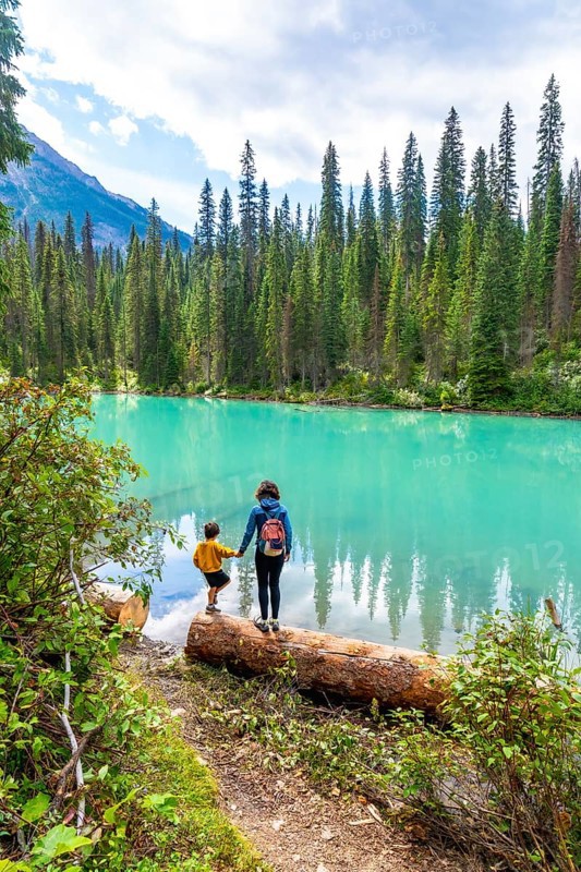 Tourists standing on a log are enjoying the breathtaking view of the turquoise water of emerald lake, surrounded by a lush pine forest and majestic mountains in banff national park, alberta, canada