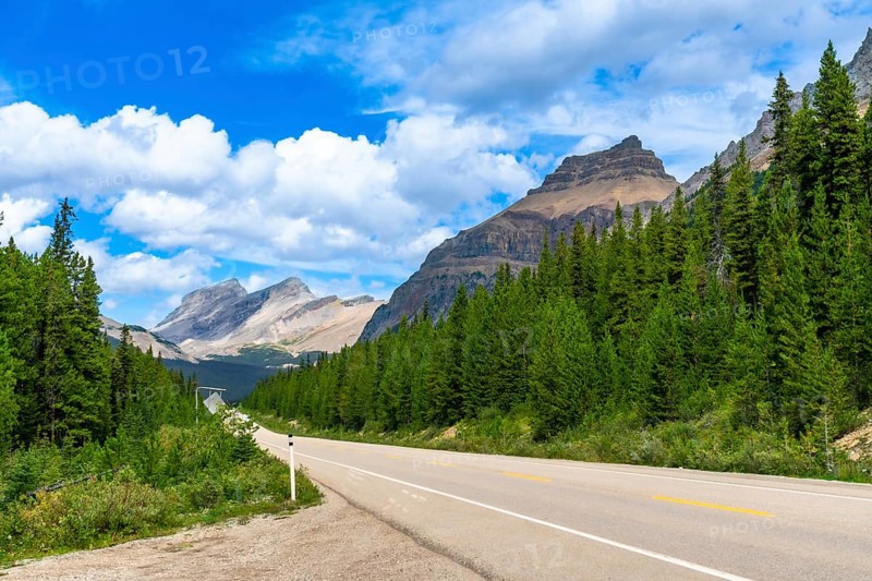 Empty highway stretching through a dense pine forest with the canadian rockies towering in the background under a vibrant blue sky dotted with fluffy white clouds