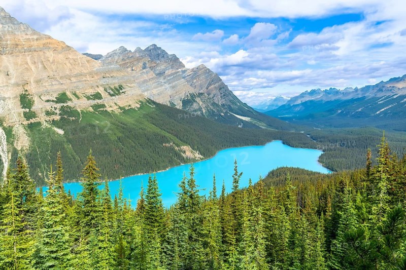 Turquoise peyto lake is shining under a cloudy sky, surrounded by lush vegetation and the imposing canadian rockies in banff national park, alberta