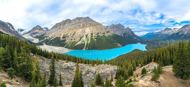 Panoramic view of turquoise peyto lake, surrounded by lush pine forests and towering mountains, a breathtaking natural wonder in banff national park, canadian rockies, alberta, canada