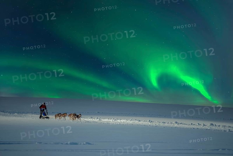 Dog sledding with huskies Northern Lights Norway