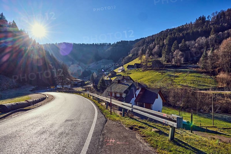 Landscape photography, landscape, hilly landscape, hill, road, guardrail, coniferous forest, meadow, houses, buildings, sun backlight, blue sky, cloudless, Gutenstraße, Simonswald, Black Forest, Emmendingen district, Baden-Württemberg, Germany