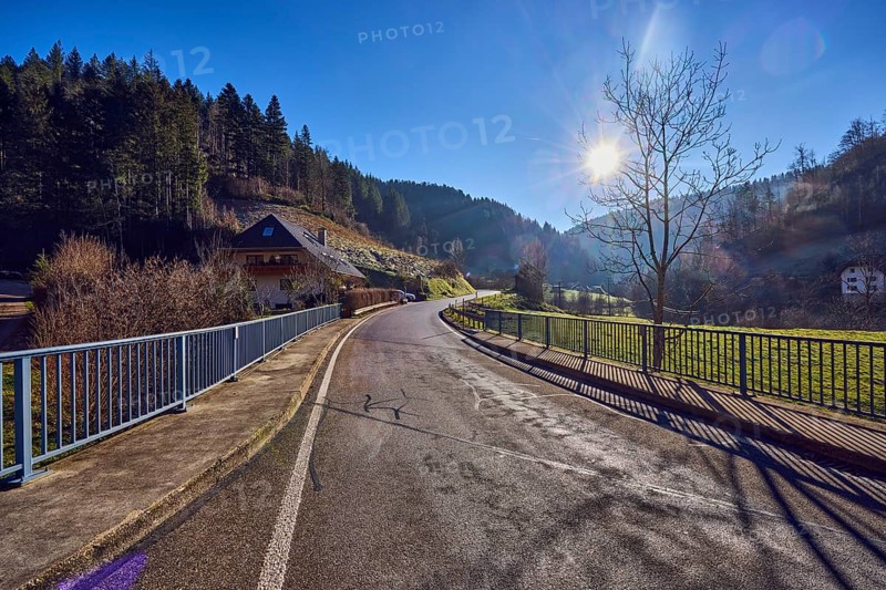 Landscape photography, landscape, hilly landscape, hill, car bridge and footbridge, metal railing, road, coniferous forest, trees, meadow, house, building, sun backlight, blue sky, cloudless, Gutenstraße road, Simonswald, Black Forest, Emmendingen district, Baden-Württemberg, Germany