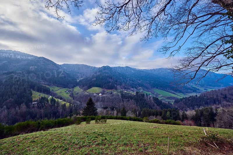 Simonswäldertal Dreitälerblick, landscape photography, landscape, hills, coniferous forest, homesteads, trees, meadow, branches, haze, blue sky, cumulus clouds, stratocumulus clouds, L173, Simonswald, Black Forest, Emmendingen district, Baden-Württemberg, Germany