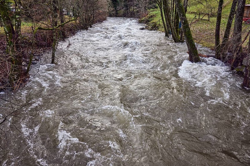 Wilde Gutach river, unpaved bank, trees, meadow, diffuse light, lively wavy water surface, diffuse light, Simonswald, Black Forest, Emmendingen district, Baden-Württemberg, Germany