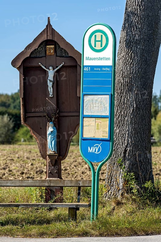 MVV bus stop at a traditional field cross, wayside cross, bench and oak (Quercus) in a field, wasteland in the countryside, public transport, Anzing, Upper Bavaria, Bavaria, Germany