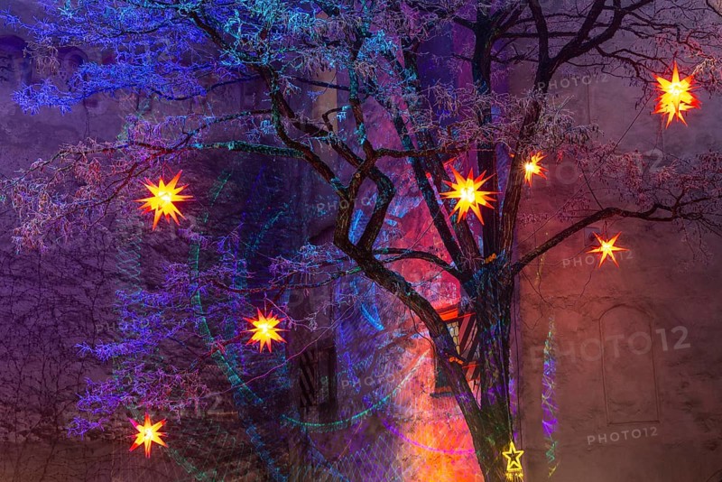 Shining stars on a tree, illumination, murmuring, winter, Waldburg Castle, Waldburg, Allgäu, Baden-Württemberg, Germany