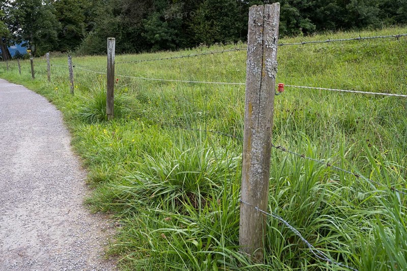 Elektrozaun an einer Weide, Ort Tegernsee, Upper Bavaria, Bavaria, Germany