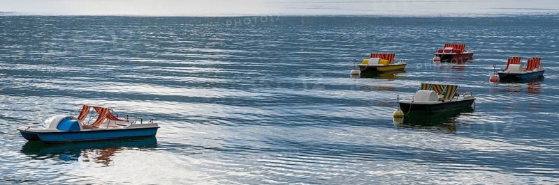 Colored paddleboats attached to buoys, Tegernsee, Upper Bavaria, Bavaria, Germany