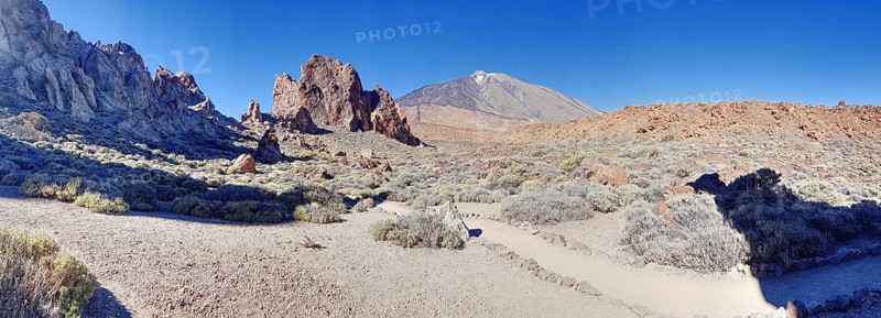 Barren rocky landscape with blue sky, dry vegetation and impressive Pico del Teide in the background, La Orotava Tenerife