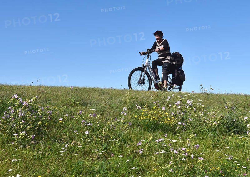 Woman riding a bicycle on a dike on the Darß peninsula, Mecklenburg-Western Pomerania, Germany