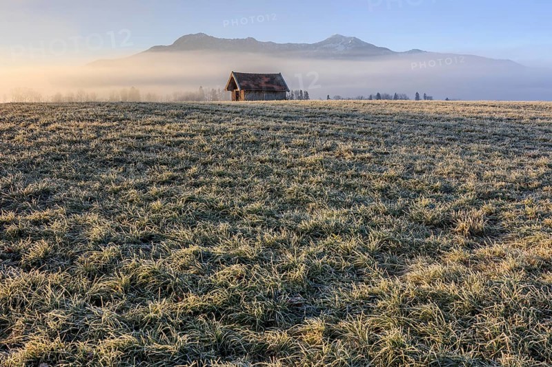 Hut, wooden hut, morning light, sunny, ripe, hoarfrost, cold, winter, fog, mountains, Loisach-Lake Kochel-Moore, view of Herzogstand, Heimgarten, Alpine foothills, Bavaria, Germany