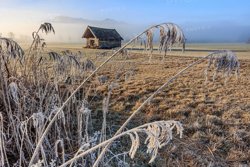 Hut, wooden hut, morning light, sunny, frost, hoarfrost, cold, grasses, reeds, winter, fog, mountains, Loisach-Lake Kochel-Moors, view of Herzogstand, Heimgarten, Alpine foothills, Bavaria, Germany