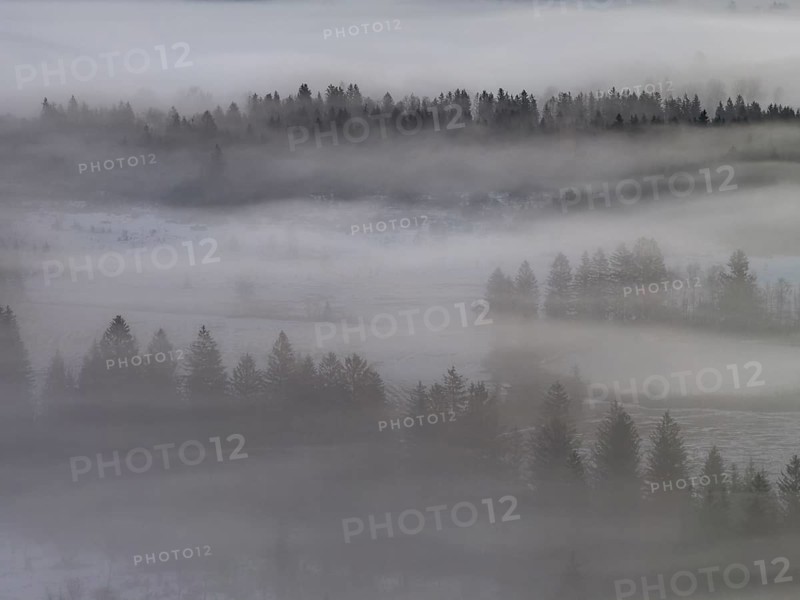 Clouds of fog, fog, trees, conifers, winter, snow, aerial view, Alpine foothills, Bavaria, Germany