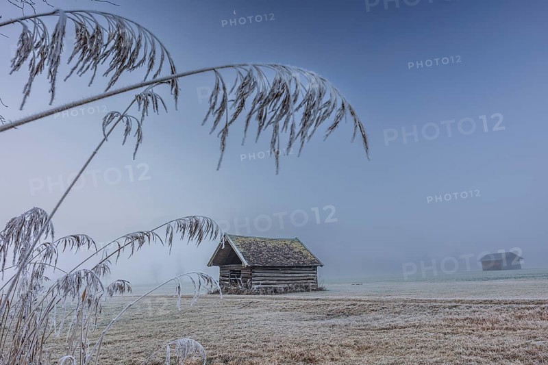 Hut, wooden hut, grasses, frost, hoarfrost, cold, winter, fog, high fog, mountains, Loisach-Lake Kochel-Moors, Alpine foothills, Bavaria, Germany