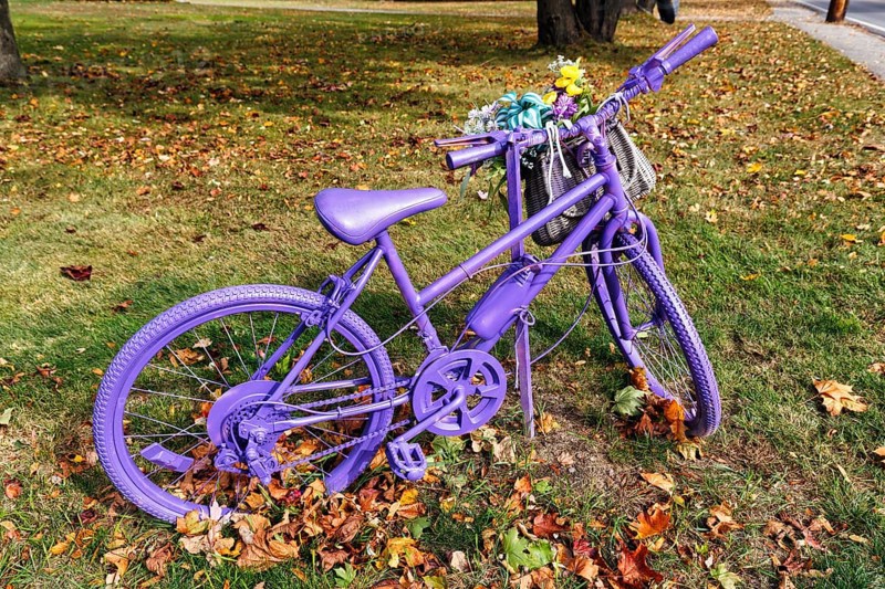 Purple painted bicycle with flowers, decoration, autumn leaves in a meadow, Ogunquit, Maine, New England, USA