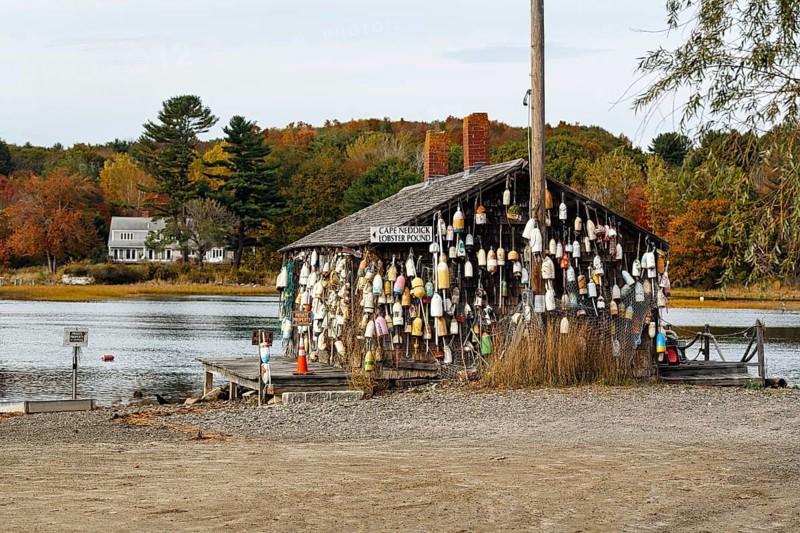 Numerous lobster buoys, decoration at former fishing lodge, seafood restaurant, lobster specialty, Ogunquit, Maine, New England, USA