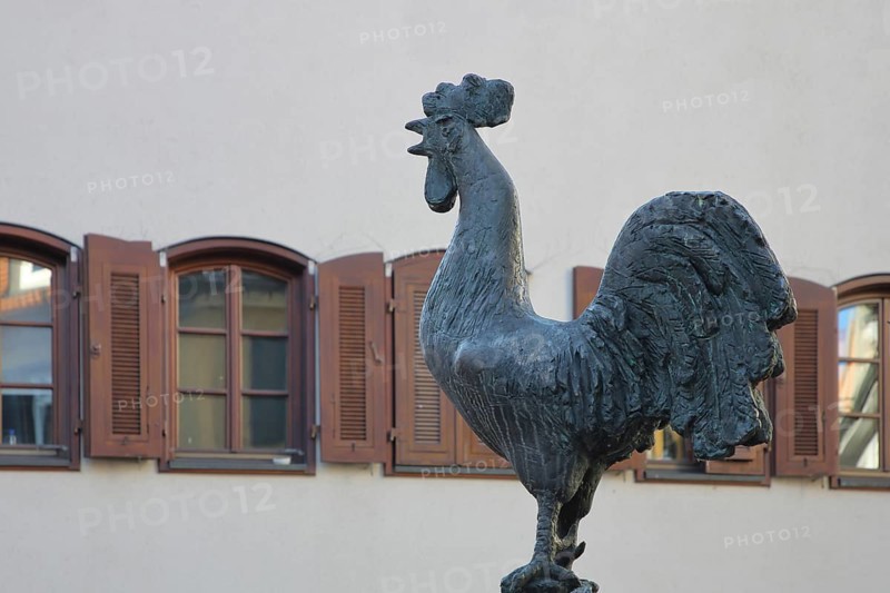 Göckelesbrunnen by Karl Ulrich Nuss 2013 with rooster figure, rooster, modern art, bronze sculpture, Gockelbrunnen, Reutlingen, Swabian Jura, Baden-Württemberg, Germany