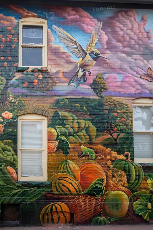 Arvada, Colorado - A mural on a house in Olde Town Arvada