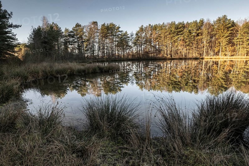 Former quarry lake, Emsland, Lower Saxony, Germany
