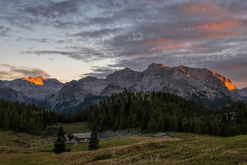 View over the alpine pasture of the Gotzenalm to the Steinernes Meer and Funtenseetauern mountains at sunset, Berchtesgaden National Park, Bavaria, Germany