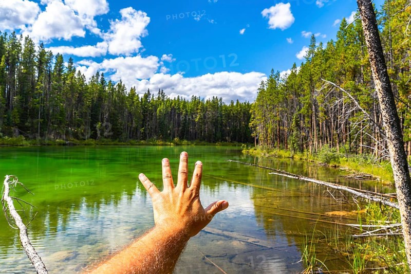 Hand reaching out to the turquoise water of herbert lake, surrounded by a lush forest, under a bright blue sky with some clouds, in banff national park, canadian rockies, alberta, canada