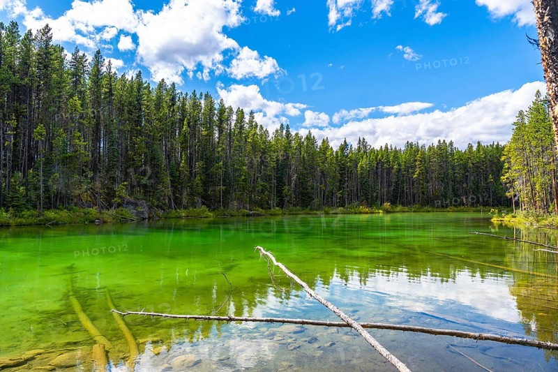 Emerald green waters of herbert lake reflecting the surrounding forest under a cloudy sky in banff national park, canadian rockies, alberta, canada, creating a serene and picturesque landscape
