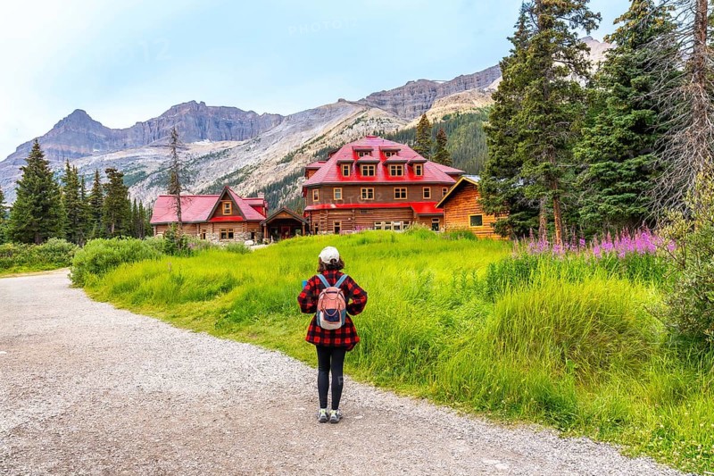 Female tourist walking along a gravel path toward the historic num ti jah lodge at bow lake, surrounded by wildflowers and majestic mountains on a sunny summer day